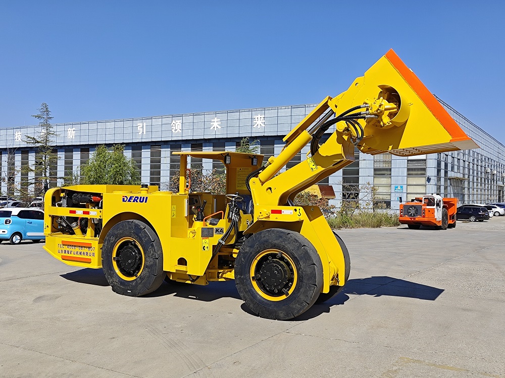 JDY-1J���������˽��賵